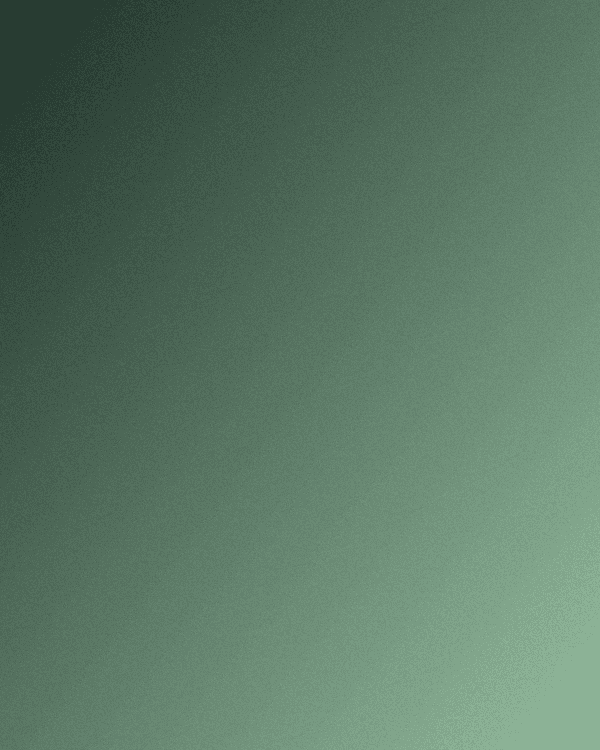 창문 01